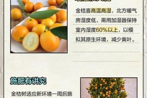 金桔秋季掉叶子的原因及应对方法（金桔树叶落后一片红，如何解决叶子掉落的问题？）