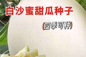 哈密瓜成熟季节是几月？（探寻哈密瓜的成熟之道）