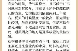 澳洲杉换土全攻略（时间、方法、步骤、经验分享）