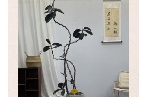 如何促进象皮树的生长？（探索提高象皮树生长速度的方法）