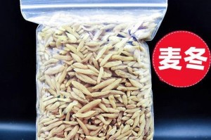 麦冬的最佳采摘时间（挖掘麦冬的技巧和窍门）