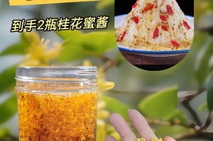 桂花的神奇力量（探秘干桂花的功效与作用，尝试多种食用方法）
