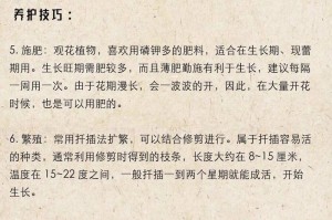 玛格丽特花的养殖方法与注意事项（打造美丽花园，从玛格丽特开始）