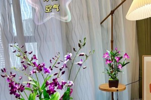 石斛兰——室内最佳盆栽植物（绿色生活从窗前开始）