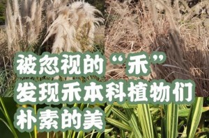 禾本科代表植物品种及特点（了解禾本科植物丰富的品种及其独特特点）