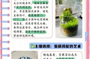 如何正确养护水石上的苔藓（掌握关键技巧，让苔藓茁壮成长）