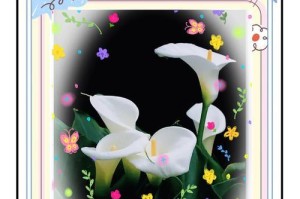马蹄莲——神圣的花之象征（揭秘马蹄莲的文化内涵及象征意义）