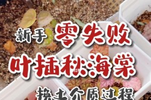海棠换盆的最佳时间及注意事项（掌握正确时间和方法，让海棠更美丽）