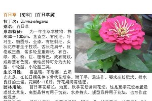 探秘常见的草本植物（了解这些植物的特点和用途，丰富你的植物学知识）