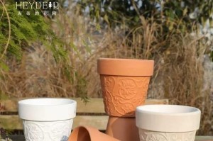 陶盆里的绿色生活（适合种植哪些植物？——探寻陶盆植物的最佳选择）