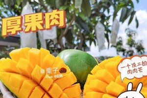探秘凯特芒的成熟上市季节（揭秘凯特芒的种植、收获和营销全过程）