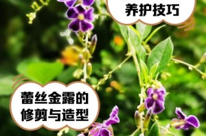 蕾丝金露花掉叶子的原因及应对方法（保护蕾丝金露花叶片，让其长势更加旺盛）