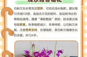 石斛怎么分株？（养护方法分享）
