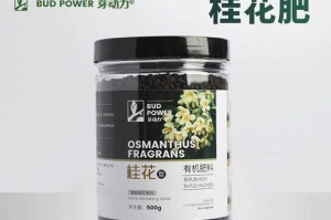 如何正确催开桂花？（掌握正确的催花时间和方法，让你的桂花更加灿烂。）