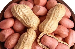 板栗的营养价值及吃多是否会上火（了解板栗的好处，合理食用健康安全）