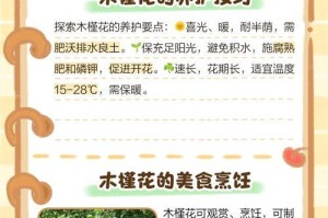 如何正确修剪木槿（注意事项及步骤，打造健康美丽的花园）