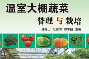 大棚蔬菜种植技术与管理（高效、环保、可持续）