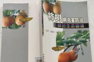如何科学防治柿子树病虫害（综合防治方法提高柿子树产量与品质）