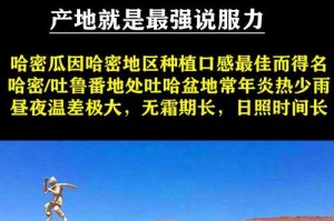 哈密瓜产地一览