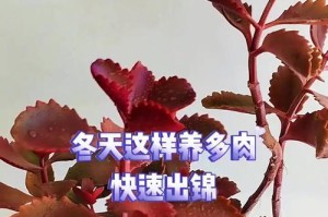 多肉植物怎样使用激素培育出锦色变异品种（以多肉怎么出锦激素是什么）