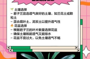 君子兰土壤配制方法详解（打造适合君子兰生长的土壤，助力健康成长）