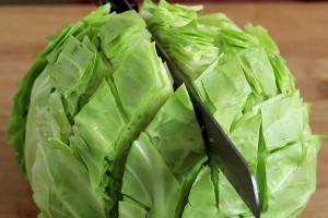 包菜发苦该怎么办？（如何解决包菜发苦的问题？无需浪费食材！）