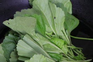 冬寒菜的营养和美味（冬天的特色蔬菜和独特滋味）