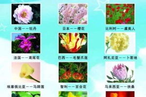 探秘百合花——哪个国家的国花？