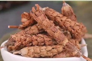 灯笼草的功效与作用及食用方法（发现灯笼草的神奇之处，探索多元化食用方式）