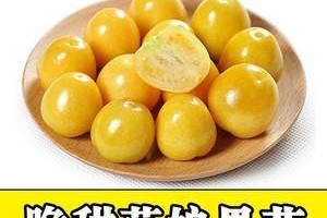 姑娘果种子留种教程（培育美味姑娘果的秘密，种子留下来！）