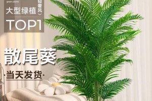 散尾葵（增加办公室生机、改善空气质量的最佳选择）