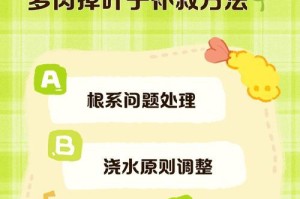 肉肉花冬天掉叶子的原因与处理方法（解析肉肉花在冬季掉叶子的原因及有效护理方法）