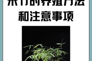 从竹子到艺术（探索竹子的魅力，发掘培养竹子的方法与技巧）