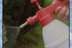 如何调节种花土的碱性？（有效方法帮助植物在碱性土壤中生长）