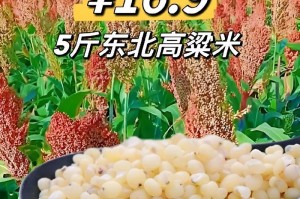 高粱肥料的选择与使用（为您解决高粱肥料选择难题）