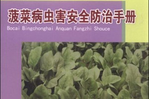 菠菜病毒病的预防与治疗（症状、传播途径和防治方法）