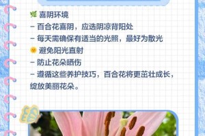 百合花期后的护理指南（如何正确护理百合花期过后的植株）