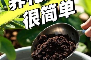如何配制适合养花的颗粒土（掌握关键要素，为花朵提供良好生长环境）