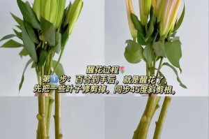 水中百合花的种植技巧（用水种植百合花，打造清新花园）
