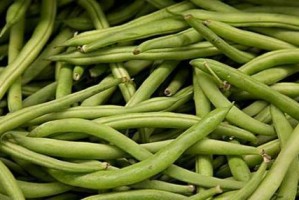 菜豆成熟上市时间与关键因素（了解菜豆种植周期，掌握上市规律）