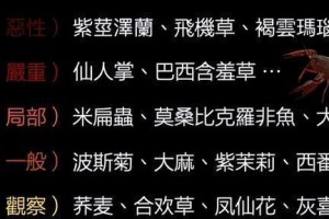 合欢草（探寻合欢草的生态习性和药用价值）
