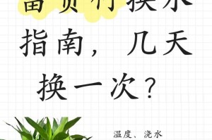 如何正确浇水富贵竹（打造健康生长的富贵竹）