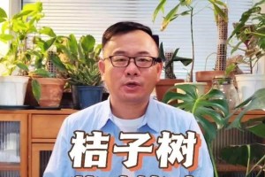 桔叶子黄了怎么办？——科学方法帮你解决困扰（针对桔树叶子黄化问题，详细解析可能原因及解决方法）