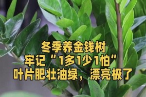 寒冬中的财富瑰宝——如何种植金钱树（解密金钱树的种植技巧和财富效应）