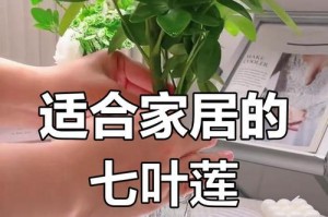 家里养荷花的全面养护指南（打造自家花园的绝佳选择，荷花全攻略）