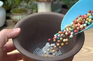 探究花烂根的原因及防治方法（解密花朵长时间保持鲜美的秘密，揭开花怎么总是烂根之谜）