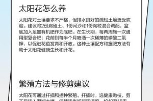 室外太阳花的冬季养护指南（让你的太阳花度过寒冷冬天的秘诀）