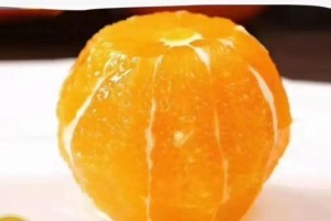 橙子能否放冰箱？（掌握正确方法，保持口感新鲜）