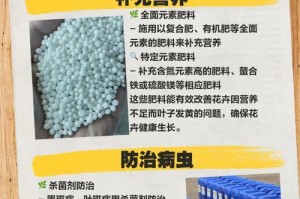 叶尖发黄的原因及处理方法（解决叶尖发黄问题的关键是什么？）