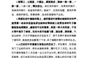 枫树叶尖干枯的处理方法（如何保护枫树叶子健康）